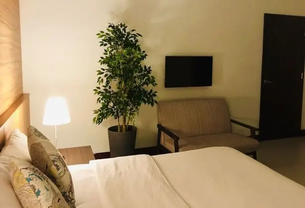 Comfort Tek Büyük Yataklı Oda, 1 Çift Kişilik Yatak, Sigara İçilmez