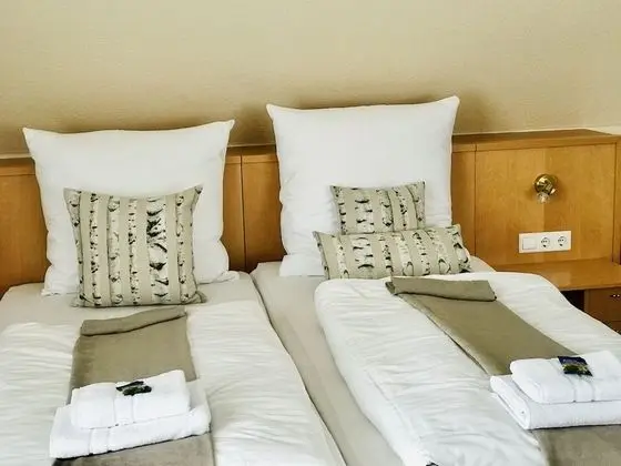 Superior Tek Büyük veya İki Ayrı Yataklı Oda, 1 Büyük (Queen) Boy Yatak, Sigara İçilmez