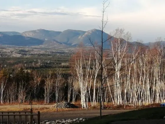 Oda, 1 Yatak Odası, Mikrodalga