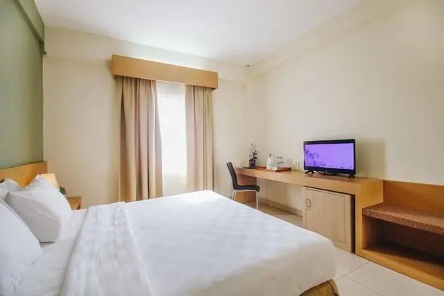 Superior Tek Büyük veya İki Ayrı Yataklı Oda