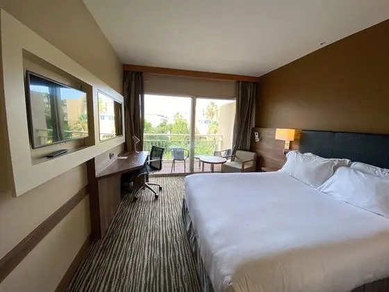 Tek Büyük Yataklı Oda, 1 Çift Kişilik Yatak, Balkon, Bahçe Manzaralı