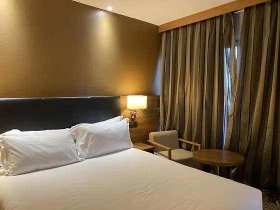 Tek Büyük Yataklı Oda, 1 Çift Kişilik Yatak, Balkon, Bahçe Manzaralı