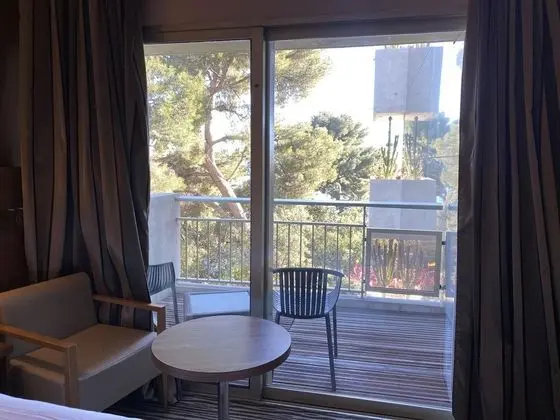 Tek Büyük Yataklı Oda, 1 Çift Kişilik Yatak, Balkon, Bahçe Manzaralı