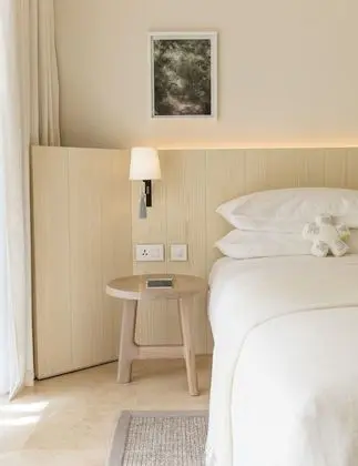 Superior Oda, 1 En Büyük (King) Boy Yatak (42sqm)