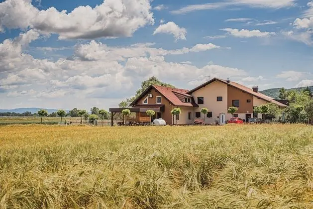 Apart Daire (Three bedroom apartment with Sauna)