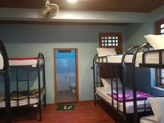 Ortak Ranzalı Oda (1 Bed in 10-Bed Dorm)