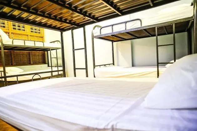 Ortak Ranzalı Oda, Karma Ranzalı Oda (1 Bed in 6-Bed Mixed Dorm)