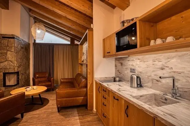 Exclusive Apart Daire, 2 Yatak Odası, Sauna, Dağ Manzaralı (7)