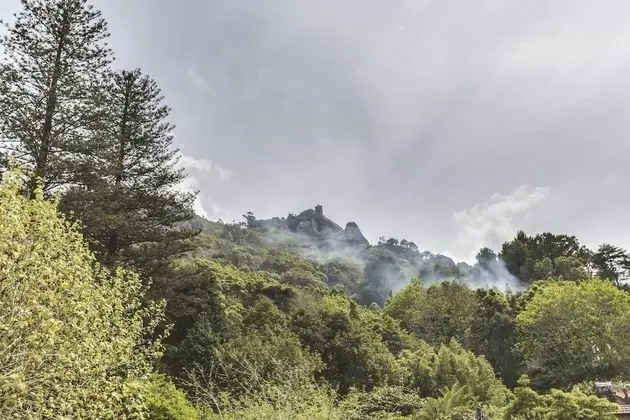 Romantic Tek Büyük Yataklı Oda, 1 En Büyük (King) Boy Yatak (Castle View 1)