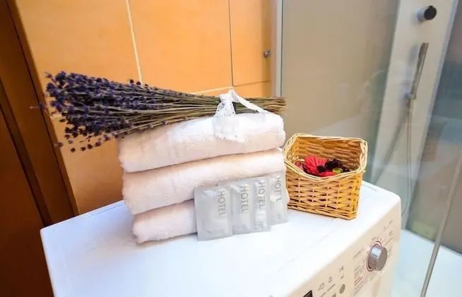 Business Apart Daire, 2 Yatak Odası