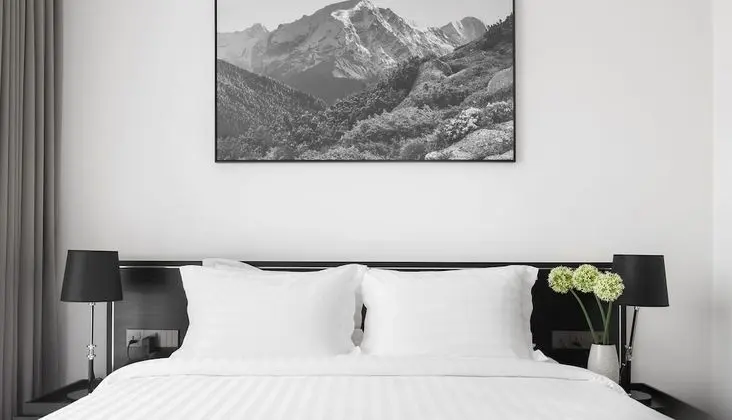 Deluxe Tek Büyük Yataklı Oda