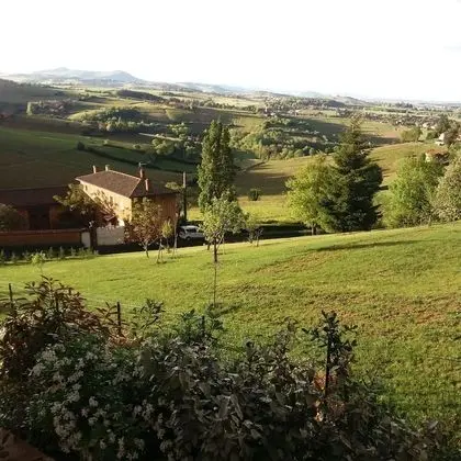 Deluxe Süit, Üzüm Asması Manzaralı