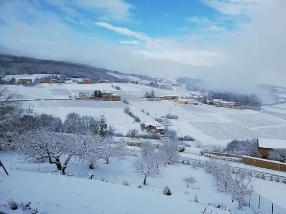 Deluxe Süit, Üzüm Asması Manzaralı