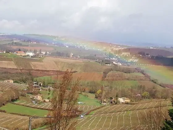 Deluxe Süit, Üzüm Asması Manzaralı