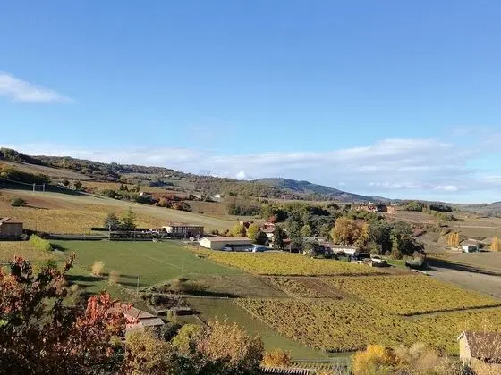 Deluxe Süit, Üzüm Asması Manzaralı