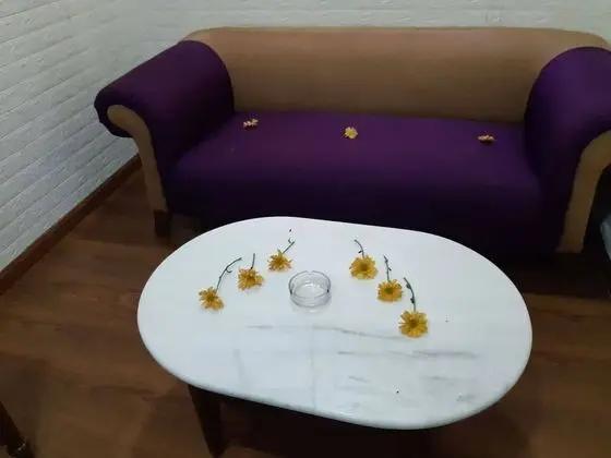 Deluxe Oda, 2 Tek Kişilik Yatak, Bahçe Manzaralı