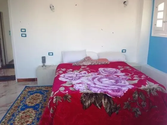 Superior Stüdyo, 1 Yatak Odası