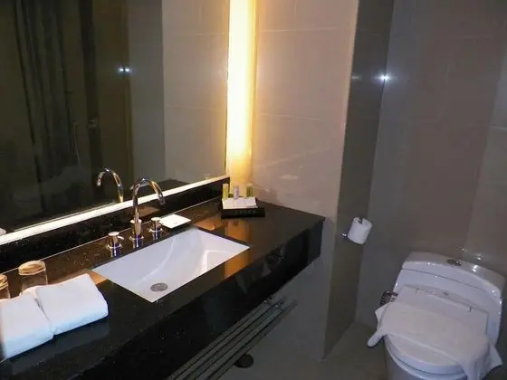 Deluxe Tek Büyük veya İki Ayrı Yataklı Oda