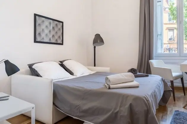 Deluxe Apart Daire, Özel Banyo, Şehir Manzaralı (Colmar)