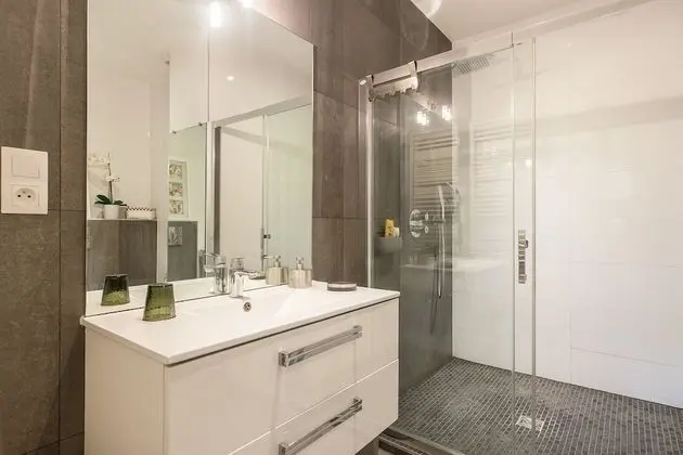 Deluxe Apart Daire, Özel Banyo, Şehir Manzaralı (Colmar)