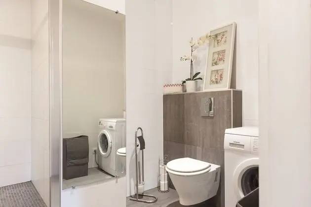 Deluxe Apart Daire, Özel Banyo, Şehir Manzaralı (Colmar)