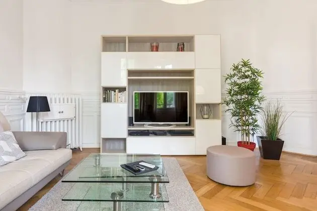 Deluxe Apart Daire, Özel Banyo, Şehir Manzaralı (Colmar)