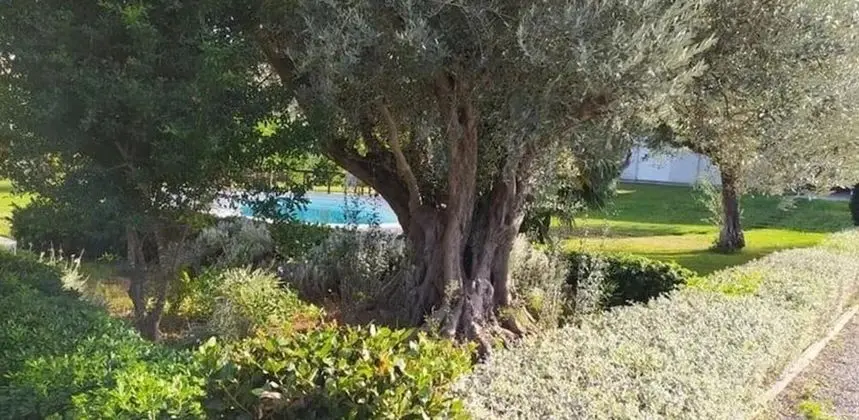 Villa, Birden Çok Yatak