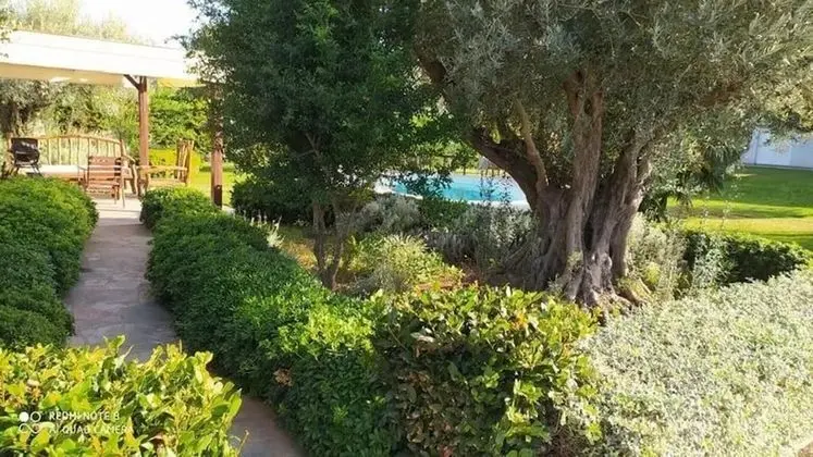 Villa, Birden Çok Yatak