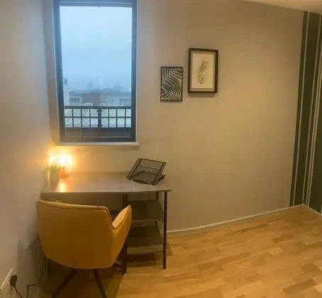 Deluxe Apart Daire, 1 Çift Kişilik Yatak ve Çekyat