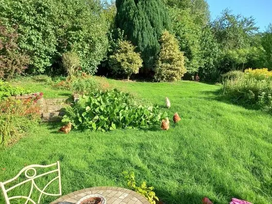 Stüdyo, 1 Büyük (Queen) Boy Yatak ve Çekyat