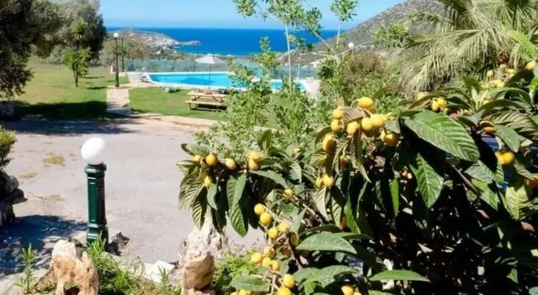 Deluxe Villa