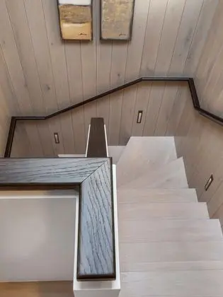 Ev