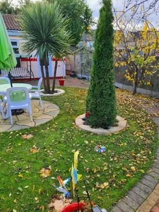 Apart Daire, 1 Büyük (Queen) Boy Yatak
