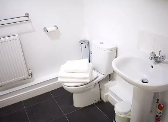 Executive Apart Daire, 2 Yatak Odası, Sigara İçilmez, 2 Banyolu
