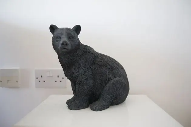 Apart Daire, Birden Çok Yatak