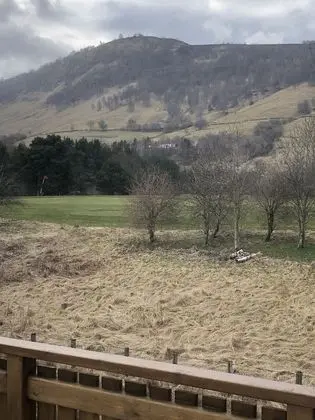 Kulübe, Birden Çok Yatak