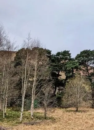 Kulübe, Birden Çok Yatak
