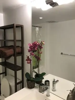 Apart Daire, Birden Çok Yatak, Sigara İçilmez, Şehir Manzaralı