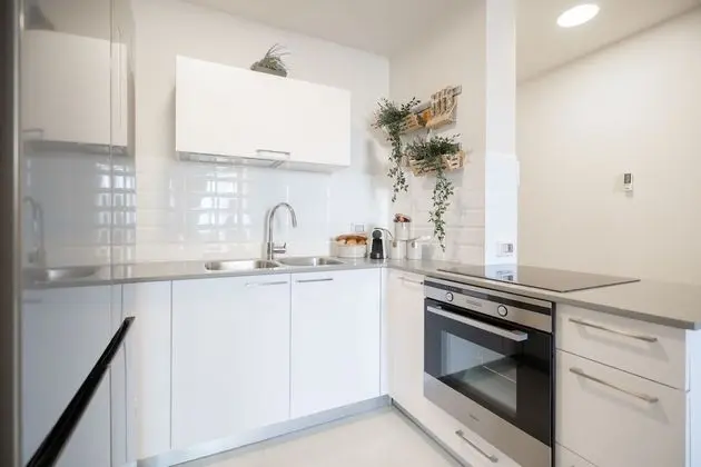 Deluxe Apart Daire, 1 Çift Kişilik Yatak ve Çekyat, Şehir Manzaralı