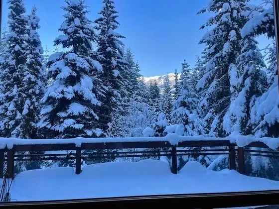 Ev, Birden Çok Yatak (Luxury 5 Bedroom Blueberry Chalet)