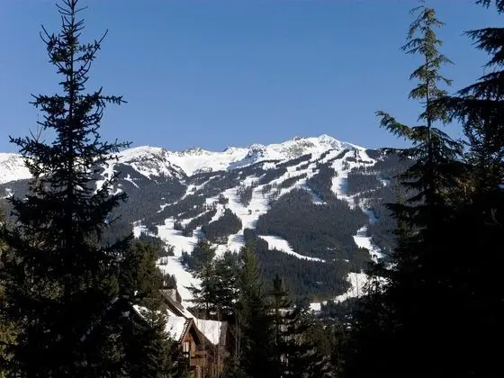 Ev, Birden Çok Yatak (Luxury 5 Bedroom Blueberry Chalet)