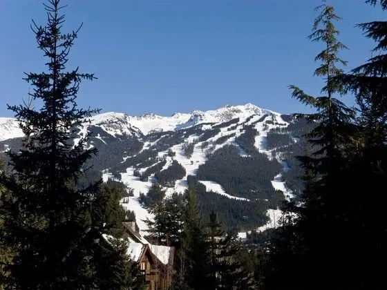 Ev, Birden Çok Yatak (Luxury 5 Bedroom Blueberry Chalet)