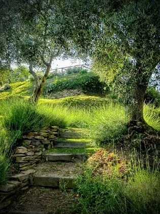 Villa, Birden Çok Yatak