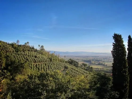 Villa, Birden Çok Yatak