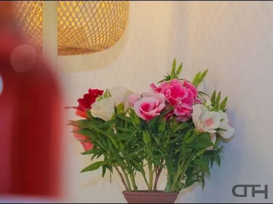 Apart Daire, 2 Yatak Odası, Engellilere Uygun, Balkon