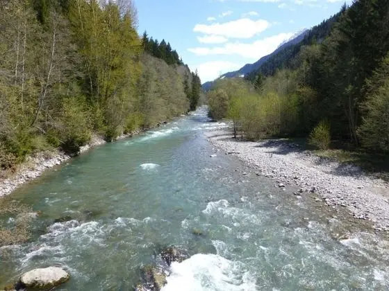 Apart Daire, Birden Çok Yatak