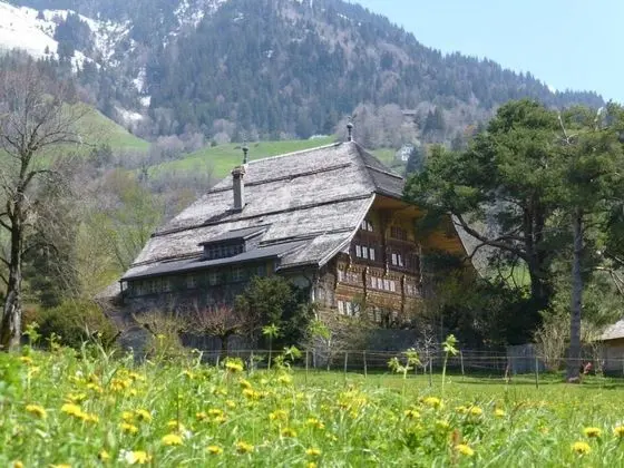 Apart Daire, Birden Çok Yatak