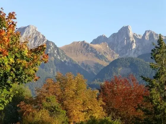 Apart Daire, Birden Çok Yatak