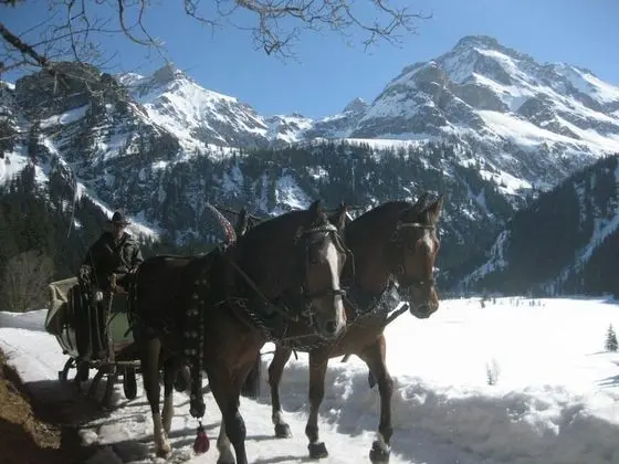 Apart Daire, Birden Çok Yatak