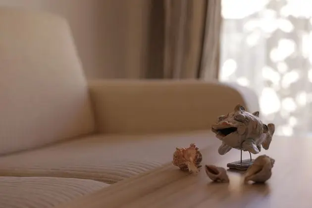 Luxury Apart Daire, 1 Yatak Odası